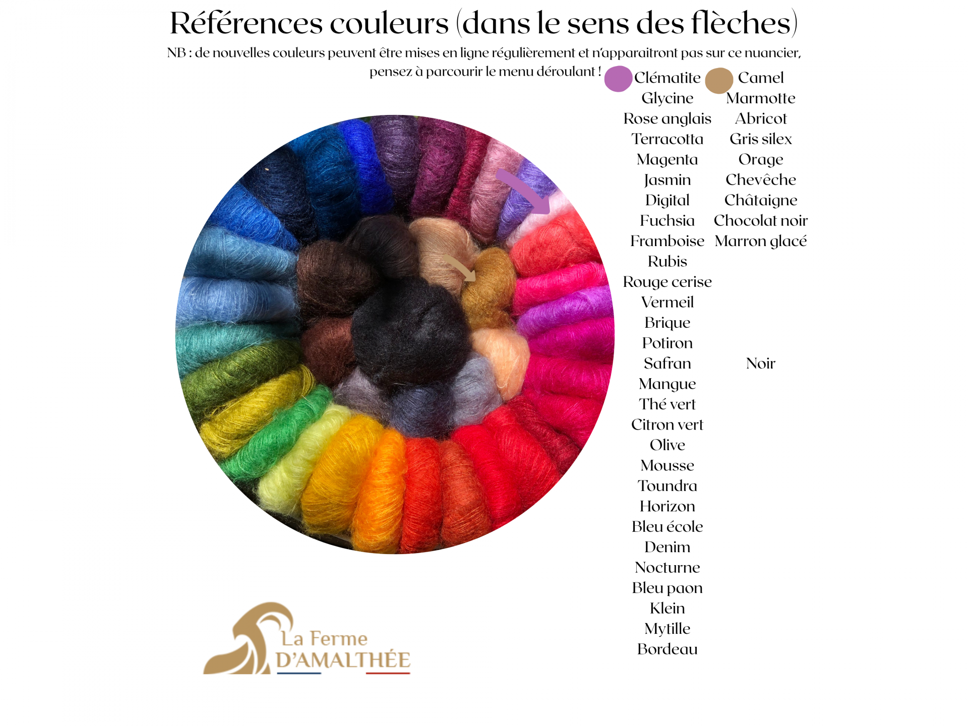 Pelote Mohair et Soie Primadonna