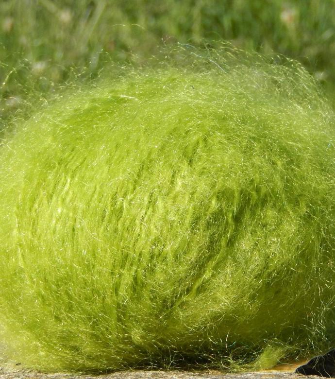Pelote laine Mohair vert anis