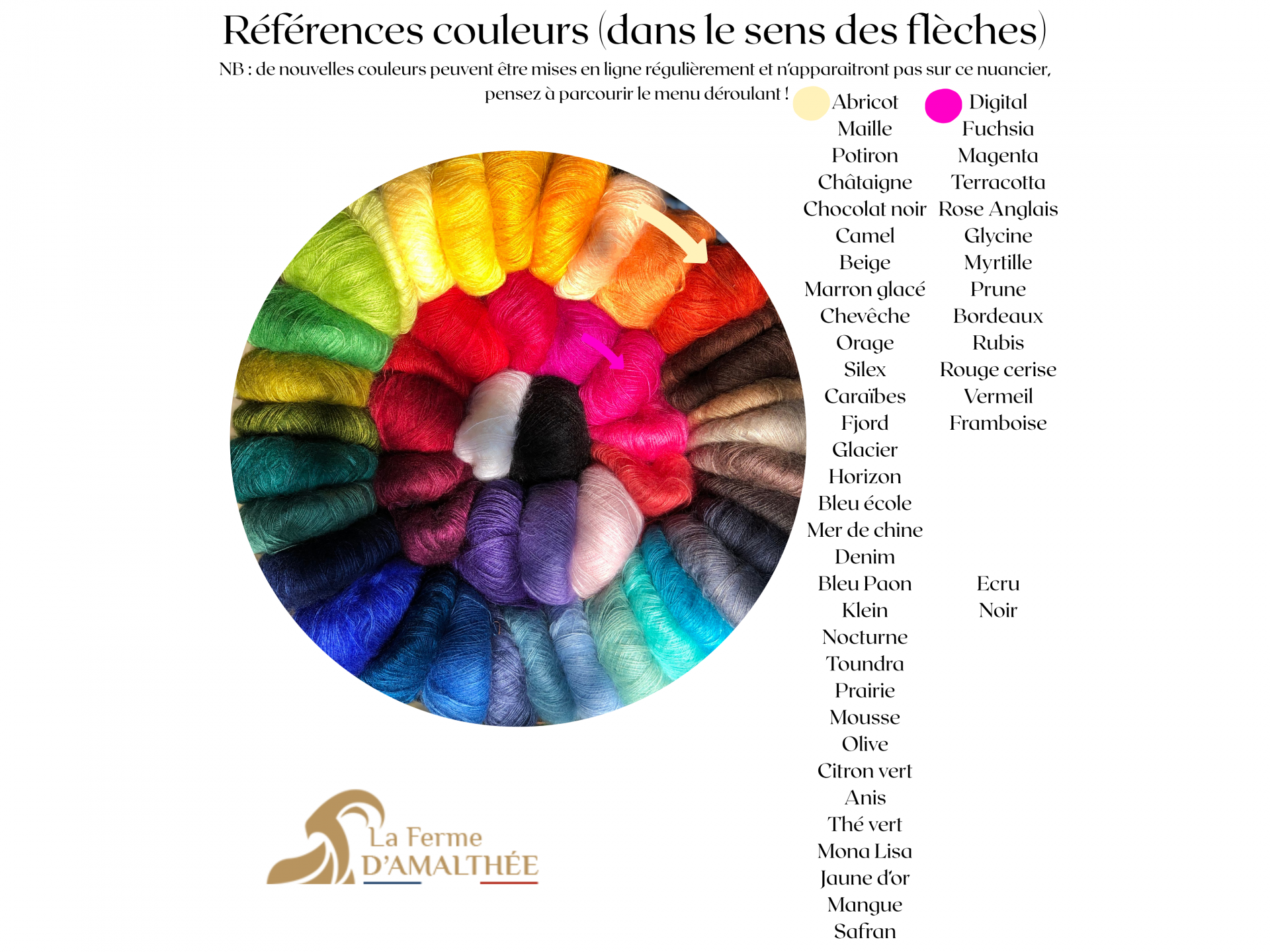 Pelote Mohair et Soie Élégance