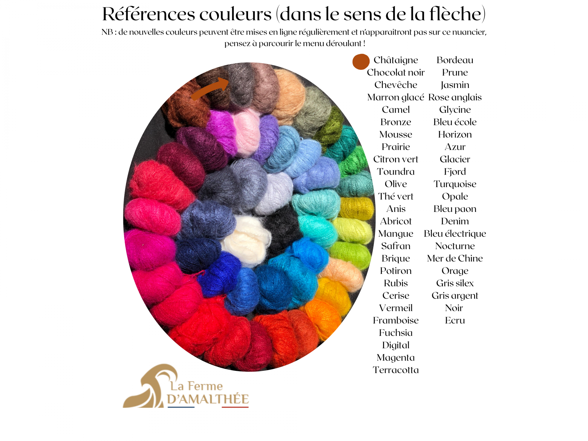 Pelote Pur Mohair Volupté