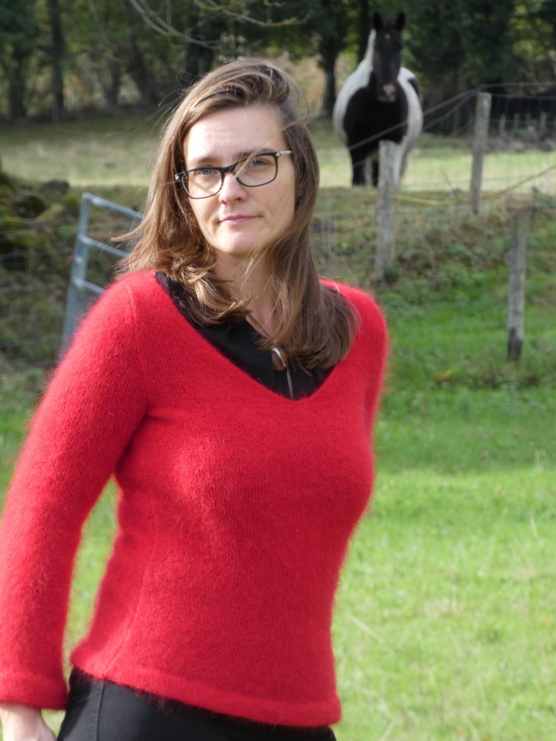 Pull Elsass Mohair vermeil 1