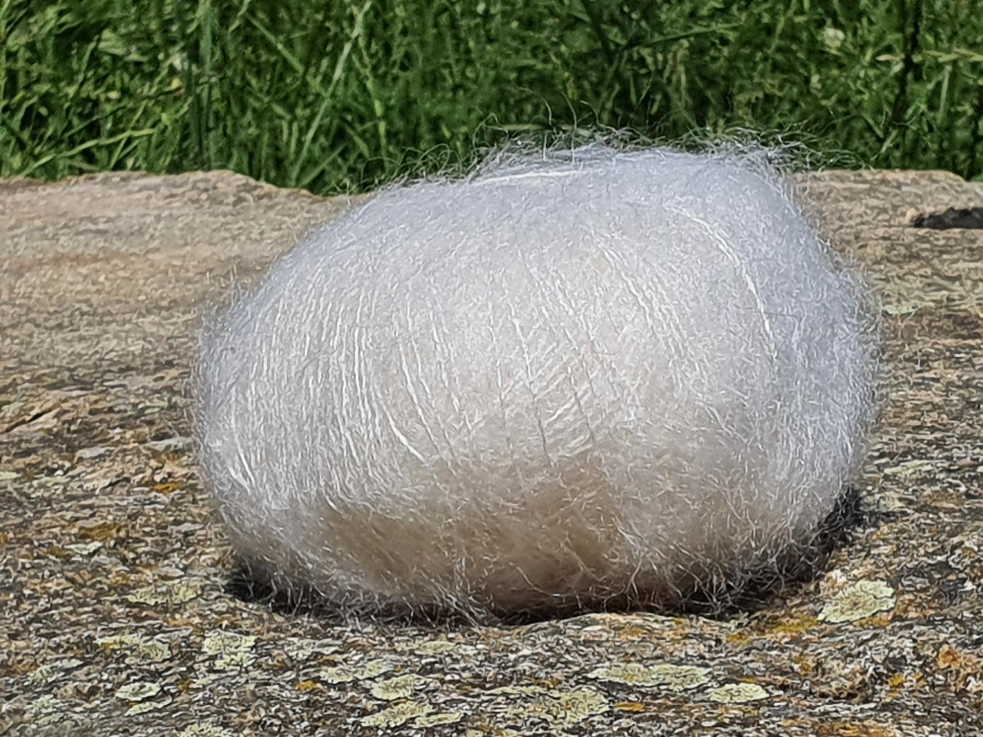 Pelote Mohair et Soie Primadonna